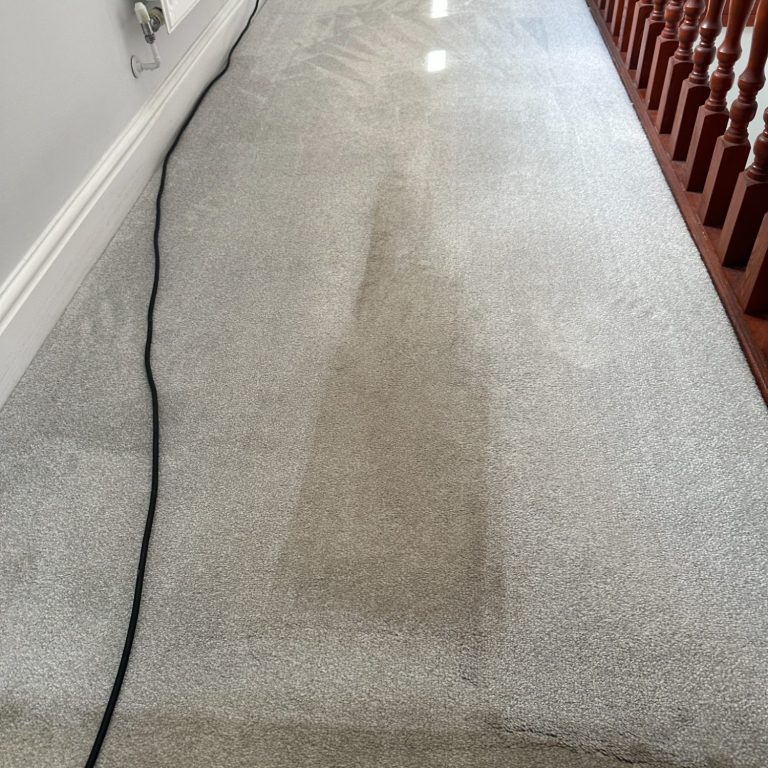 picture of dirty carpet carpet cleaning